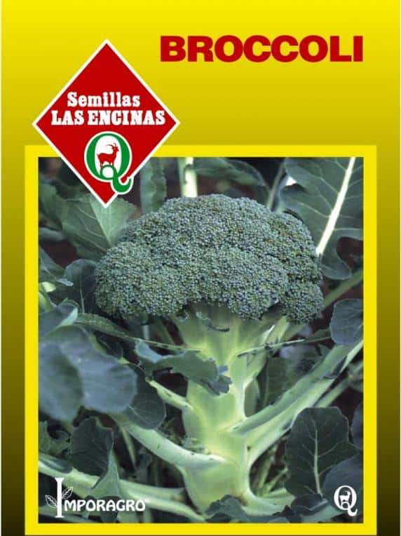 Broccoli Huertos Alma