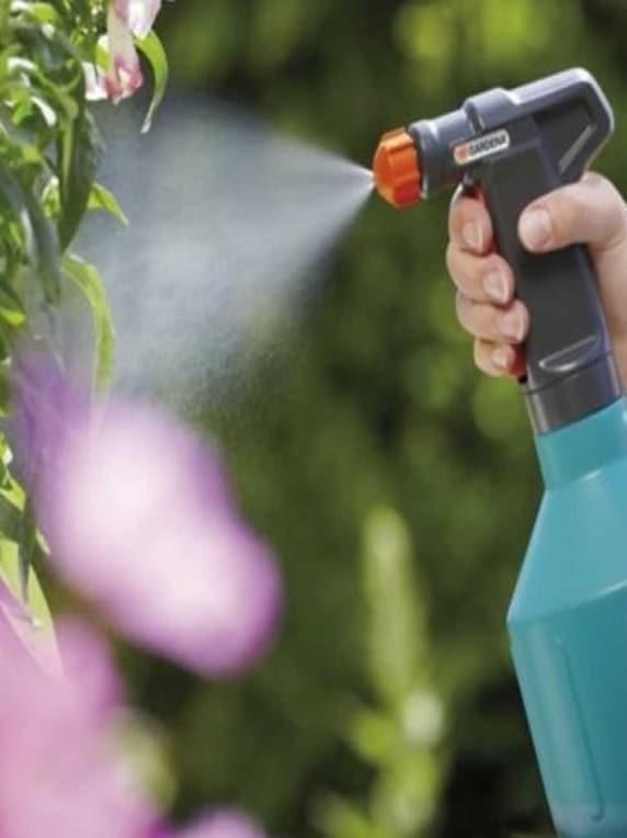 ᐅ Kit de 200 Almácigos con mini Invernadero + Kit de Herramientas