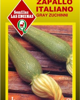 Semillas de Zapallito Italiano Grey Zucchini
