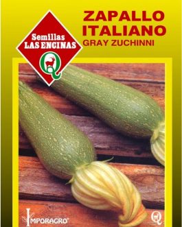 Semillas de Zapallito Italiano Grey Zucchini