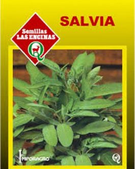 Semillas de Salvia