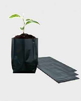 Bolsa Plástica para Almácigo y Plantas de 12×12 – 50 unidades