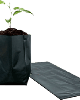 Bolsa Plástica para Almácigo y Plantas de 9×6 – 50 unidades