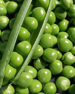 Semillas Al Por Mayor Y En Sacos 🌾 Huertos Alma