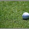 Mezcla Royal Golf 10 Kilos (Textura Media Fina, verde, oscura, tipo fairway)
