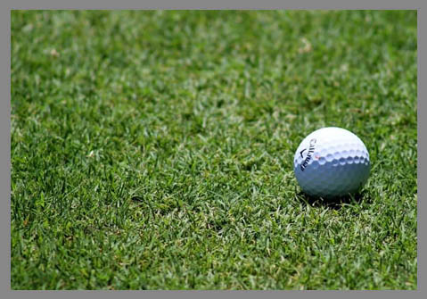 Mezcla Royal Golf 10 Kilos (Textura Media Fina, verde, oscura, tipo fairway)