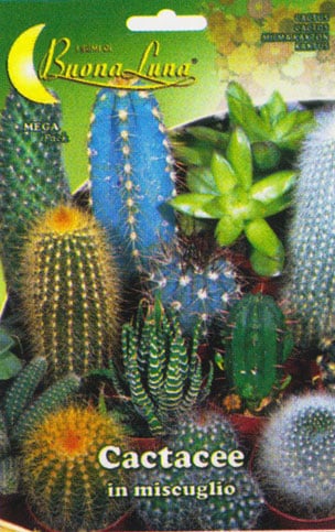 Semillas De Cactus Variado